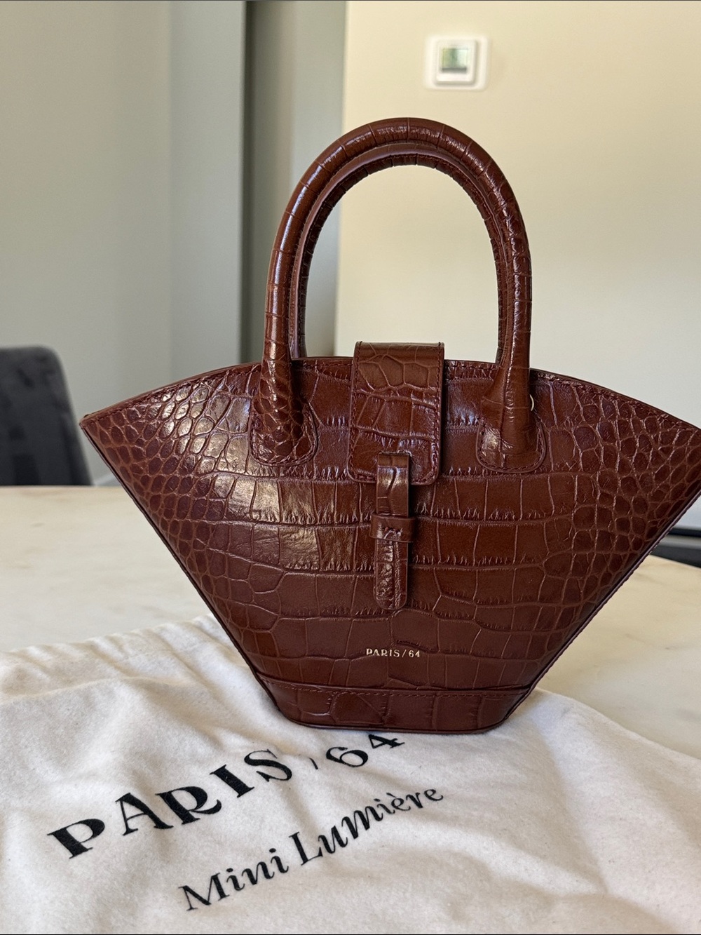 PARIS / 64 Mini Lumière Croc-Embossed Top-Handle Bag in Brown